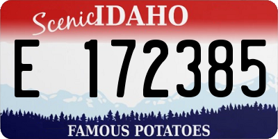 ID license plate E172385