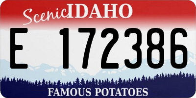 ID license plate E172386