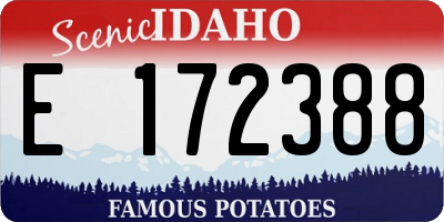 ID license plate E172388