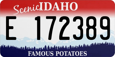 ID license plate E172389