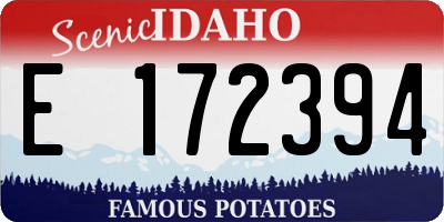 ID license plate E172394