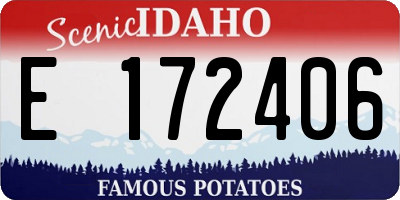 ID license plate E172406