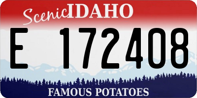 ID license plate E172408