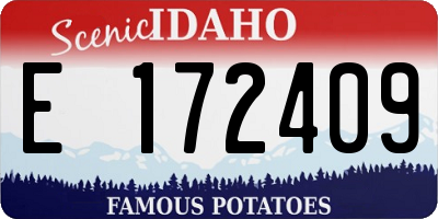 ID license plate E172409