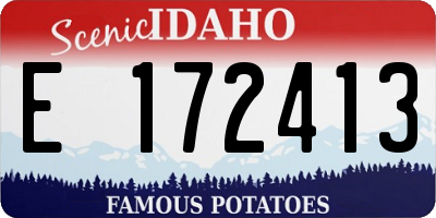ID license plate E172413