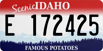 ID license plate E172425