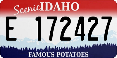 ID license plate E172427