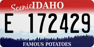ID license plate E172429