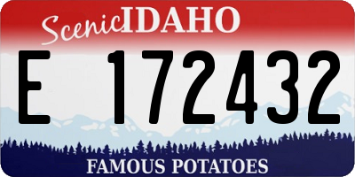 ID license plate E172432