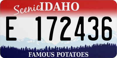 ID license plate E172436