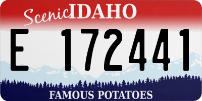 ID license plate E172441