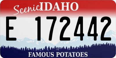 ID license plate E172442