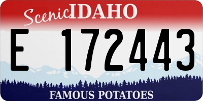 ID license plate E172443