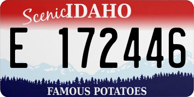 ID license plate E172446