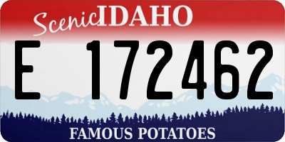 ID license plate E172462