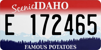 ID license plate E172465