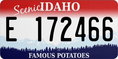 ID license plate E172466