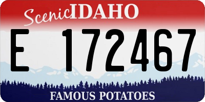 ID license plate E172467