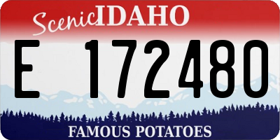 ID license plate E172480