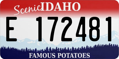 ID license plate E172481