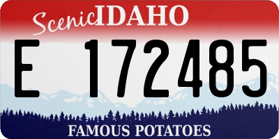 ID license plate E172485