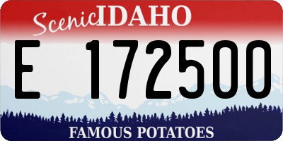 ID license plate E172500