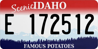 ID license plate E172512