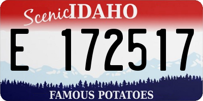 ID license plate E172517