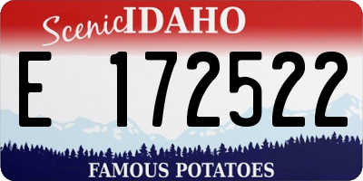 ID license plate E172522