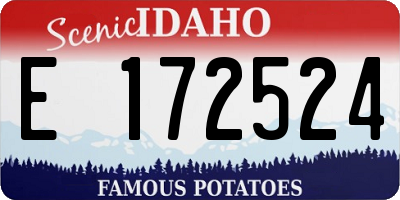 ID license plate E172524