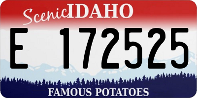 ID license plate E172525