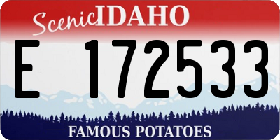 ID license plate E172533