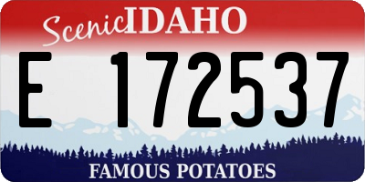 ID license plate E172537