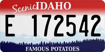 ID license plate E172542