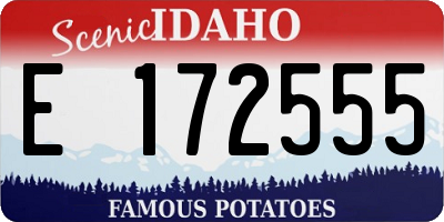 ID license plate E172555