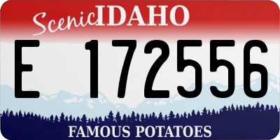 ID license plate E172556