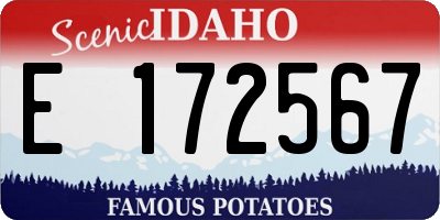 ID license plate E172567
