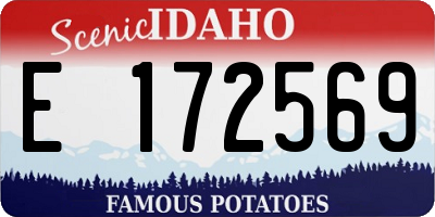 ID license plate E172569