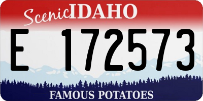 ID license plate E172573