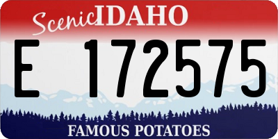 ID license plate E172575