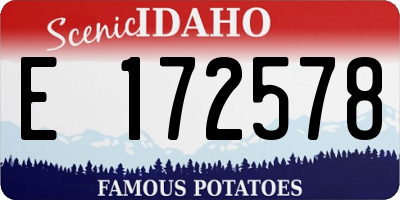ID license plate E172578