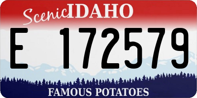 ID license plate E172579