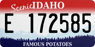 ID license plate E172585