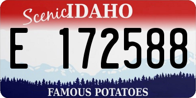 ID license plate E172588