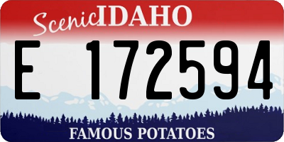 ID license plate E172594