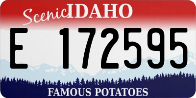 ID license plate E172595