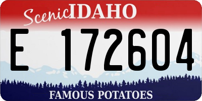 ID license plate E172604