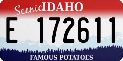 ID license plate E172611