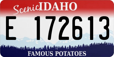 ID license plate E172613