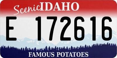 ID license plate E172616
